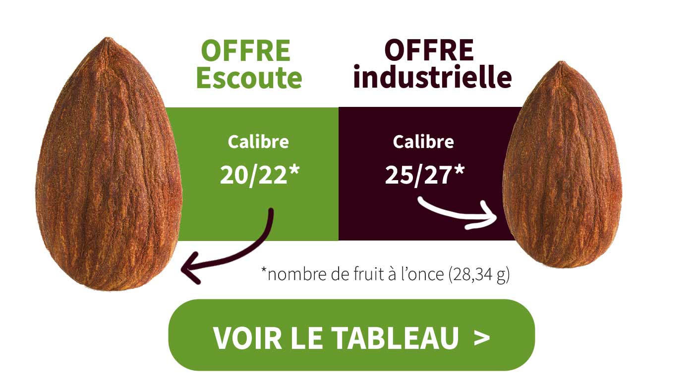 Gros calibrage des produits Escoute