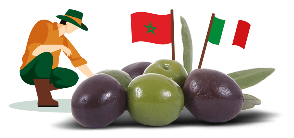 Olives vertes et noires origine Italie ou Maroc