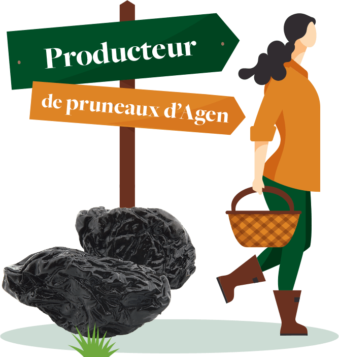 Producteur de pruneaux-d'Agen