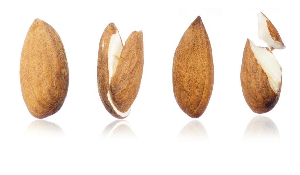 Differentes variétés d'amandes